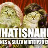 Hannes & Sulev - WINMIX2012!!!!