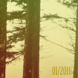 Januar ´16 Podcast