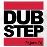 dubstepsesion