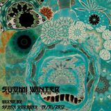 Space Vorobey - Suomi Winter