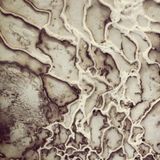 Mirage tape - 1