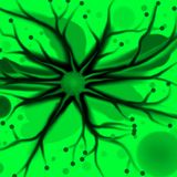 Peps_on_E - Prog On