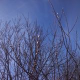 In March vol.1 (chillout mini mix)