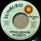 DJ B.A.S.S.-Melvin Bliss-Synthetic Substitution (Bedroom loop mix)