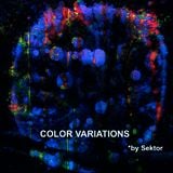 #192: Sektor - Colour Variations