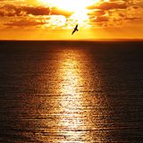 ZIX MY MIX - DEEPARA - SUMMER IS COMING VOL.3.