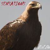 SIX SENSATIONS