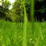 2krazy - May 2013 Mix