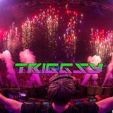 Triggsy - 2014 Year Mashup