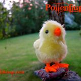 pollenflug - eatdrinkhear.com