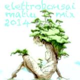 Matiuelettrobonsaipromomix