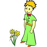 " Le petit prince " session