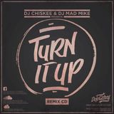 TURN IT UP REMIXCD 2012