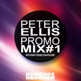 Promo Mix #1 - Peter Ellis | House Rox Records