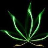 PsyCann - Under da ganja!