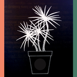 Reverberation #192