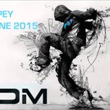 DJ STIMPEY EDM MIX JUNE 2015