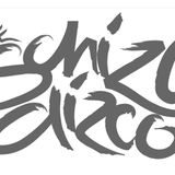 Schizo Dizco
