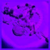 MIX Zoé Bonbon DESSANGE Thonon PT5 DJ REY