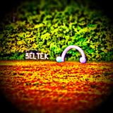 LIVE @ BelTek 2014