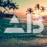 Tropical Vibes #2| Hau’oli Makahiki Hou