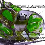 NEUROCOLLAPSE 2