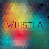 Sub.FM 30th June 2015
