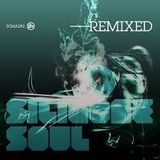 Silicone Soul