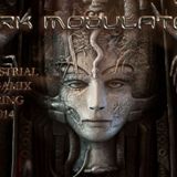 Industrial/ebm/aggrotech/dark electro Spring megamix 2014 From Dark Modulator