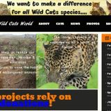 Leopards need your help - in conversation with Babette DeJonge