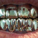 IGN*NT SH*T VOL. X - TRILL KLAN