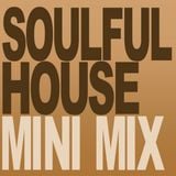 SOULFUL HOUSE MINI MIX mixed by LOUIE LOPEZ