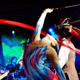 Drop Beats Not Bombs - Shpongle