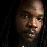 BUSHMAN - JAH GUIDE MIXTAPE - New vision sound