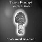 Trance Konzept (2006) - Mixed By D.j. Hands (Muskaria)