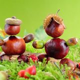 herbstlaub