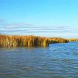 (3)'Neusiedlersee' (+Musik) gelesen von Renate Spitzner