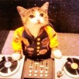shito's mix20