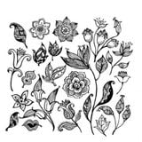 RDJ's Fleurs Noir De Mai Part Une 2013