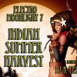 DJ K-Tel Electromoonlight 7 - Indian Summer Harvest Moon