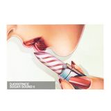 DJOSSTINCE-SUGAR SOUND 9