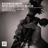 Bahamian Moor w/ Black Merlin - 9th May 2015