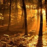 Meditation Mix by Grant Ryan