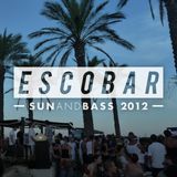 ESCOBAR - SUN&BASS 2012 COMPETITION ENTRY