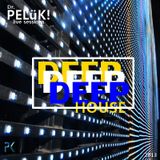 Dr. PELüK! sesion DEEP HOUSE 16-04 2013