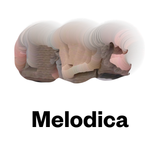Melodica 22 February 2016