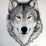 Wolffie Aka Uglynelzon - Mixtape