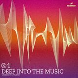 Spinafly - Deep Into The Music (01)