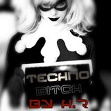 TECHNO BITCH