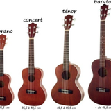 Le plan Uke N°03